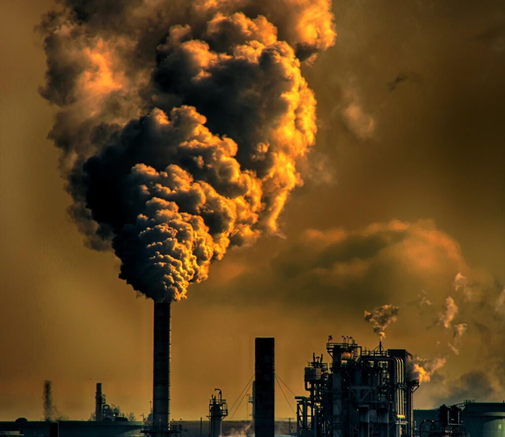 Pesticides, Heavy Metals, Pollution, + EMF: Impacts on Your Immune System Pesticides